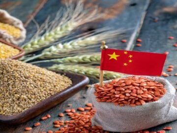 China Poised to Set Import Record for Grain and Oil Crops in 2024