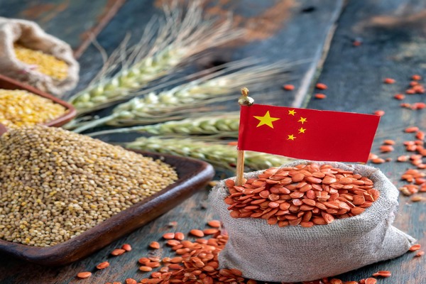 China Poised to Set Import Record for Grain and Oil Crops in 2024