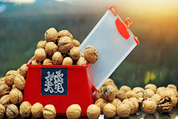 Chinese Walnut Market Experiences Unusual Price Surge