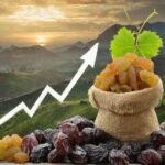 Rising Raisin Prices: Impact on Export Market and Future Projections