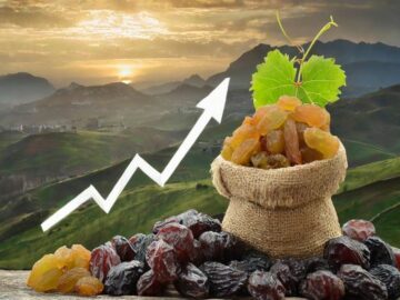 Rising Raisin Prices: Impact on Export Market and Future Projections