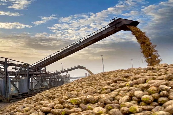 Turkish Minister Reveals Sugar, Molasses, and Beet Pulp Production Figures by TÜRKŞEKER