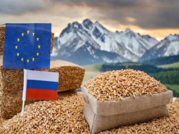 EC Will Introduce Tariffs on Grain in the Amount of €95 per 1 Ton