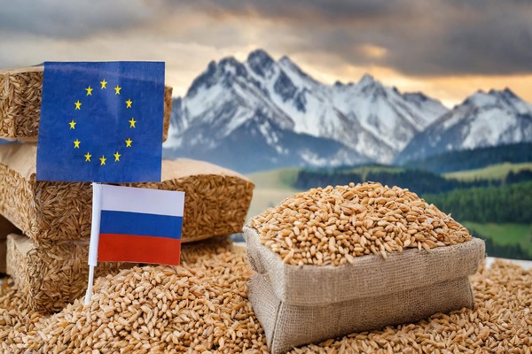 EC Will Introduce Tariffs on Grain in the Amount of €95 per 1 Ton