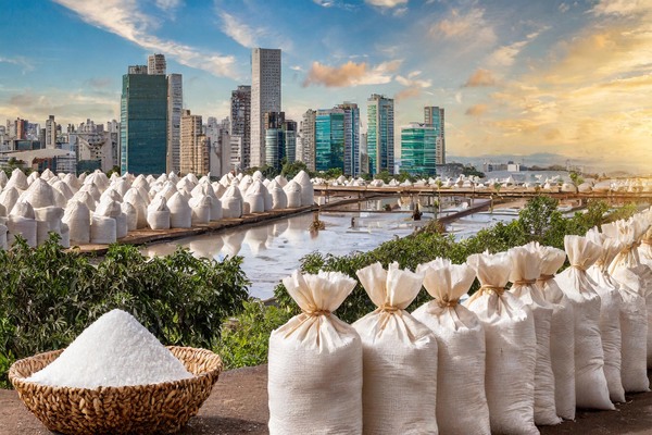 Stable Prices for White Crystal Sugar in São Paulo