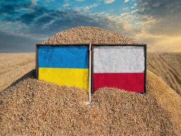 Ukraine and Poland Collaborate on Joint Customs and Border Control Amidst Border Tensions