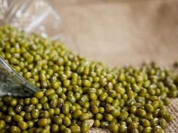 New Arrival of Myanmar Mung Beans Impacts Market Dynamics in China Dalian