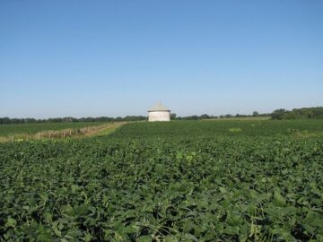 Satélite Discovery Boosts Harvest Forecast for Soybeans in Maranhã
