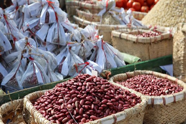 Stability Prevails: Adzuki Beans Market Insights from DALIAN