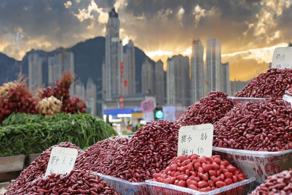 Red Kidney Bean Prices Remain High in Dalian Amid Scarcity