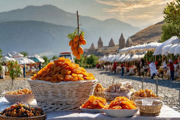 Turkish Dried Apricot Prices Decline Post-Holiday, Farmers and Exporters Express Concerns