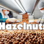 Turkish Hazelnut Market Increased Activity Before the Holidays