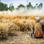 Ukrainian Wheat Prices Surge Amidst Decreased Supply and Strong Export Demand