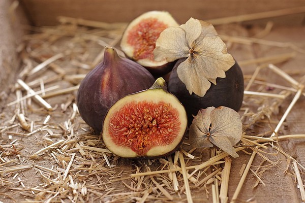 Challenges and Prospects for Turkish Fig Farmers: Early Seasonal Changes and Export Concerns