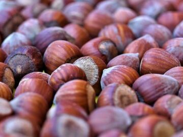 Hazelnut Market Update: Supply Surges Post-Election, Demand Wavers Amidst Record Prices