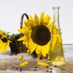 Egyptian GASC Tenders for Sunflower Oil: Prices Rise in March Tender