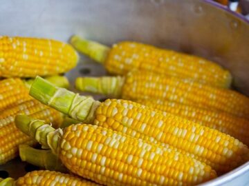 China Rumors Impact Ukrainian Corn Market