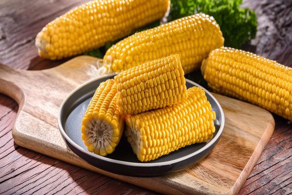Slight Increase in Corn Production Costs in Mato Grosso for 2024/25 Season
