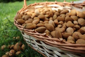 Almond Market Update: April Position Report Highlights
