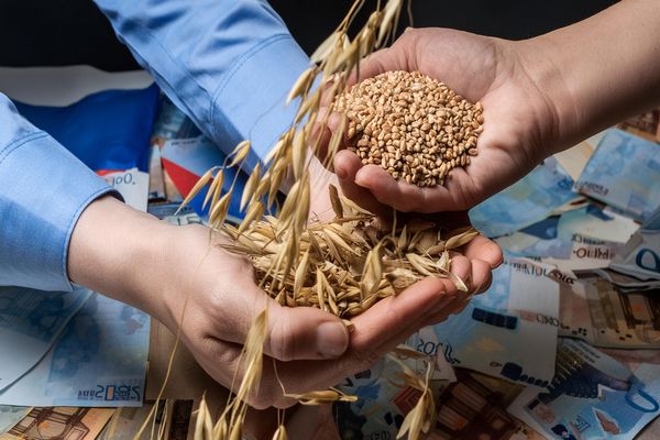 EU's High Tariffs on Russian and Belarusian Grain Imports Sparks Russian Outrage
