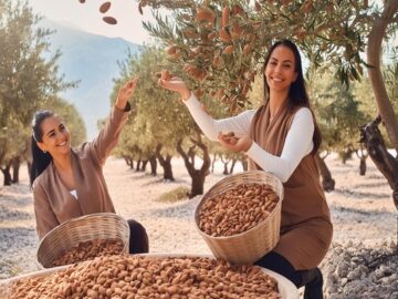 Market Update: Heat Dome and Shipping Pressures Affect Almond Industry