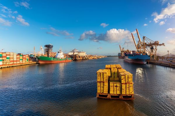 Brazil: Soy and Sugar Are Highlights in Exports From State of Paraná Ports in June