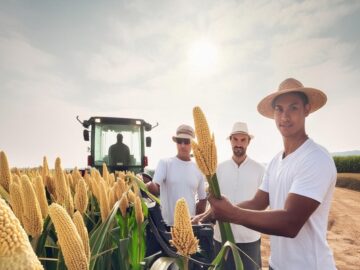 Dalian Agricultural Market Faces Decline Amid Weak Demand