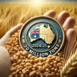 StoneX Raises Australia's 2024/25 Wheat Production Forecast to 30 Million Tons