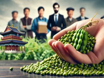 Mung Bean Market Update: Early Harvest Begins, Sales Progress Outpaces Last Year