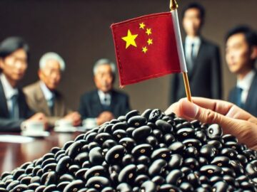 Black Bean Market Update: Prices Expected to Drop as New Grain Listing Approaches