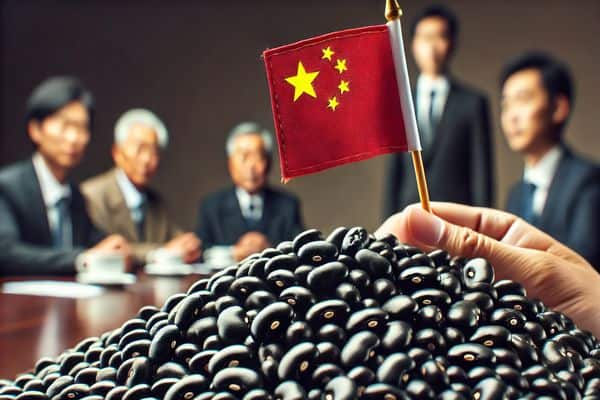 Black Bean Market Update: Prices Expected to Drop as New Grain Listing Approaches