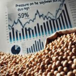 Soybeans Under Pressure – High Stocks Weigh on US Market