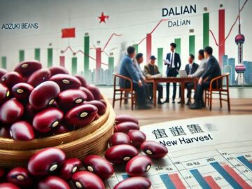 Adzuki Bean Market Faces Pressure as New Harvest Approaches in Dalian
