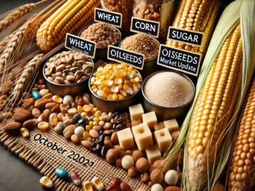 October 2024 Market Update: Demand Pushes Oilseed Prices Higher