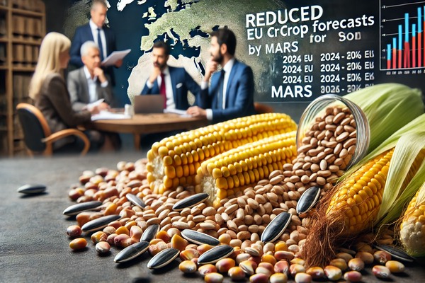 MARS Lowers 2024 EU Crop Forecasts for Soybean, Sunflower, and Corn