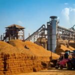 Can Sugar Exports Help India’s Mills Stay Afloat?