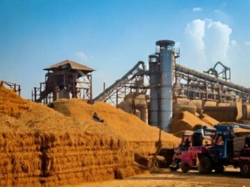 Can Sugar Exports Help India’s Mills Stay Afloat?