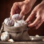 LATEST GARLIC NEWS