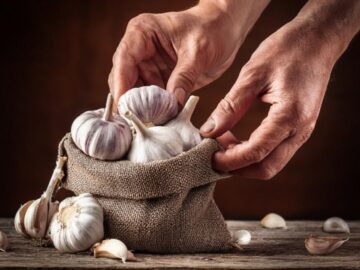 LATEST GARLIC NEWS