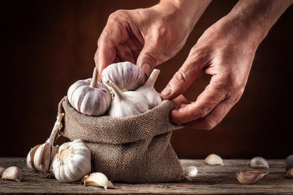 LATEST GARLIC NEWS