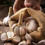 garlic
