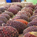 Palm Oil
