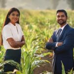 corn acreage in India
