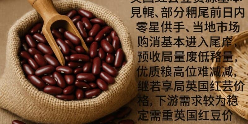 Global Beans Market Analysis: Tight Supply, Firm Prices, and Weather Risks