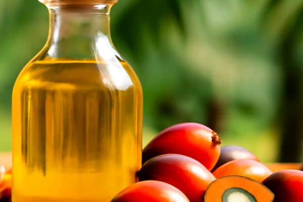 Palm Oil Market Rebounds: Fundamentals, Drivers, and Outlook (June 2025)