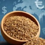 cumin news