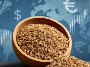 cumin news