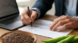guar seeds