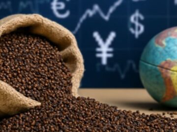 mustard seeds market
