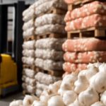 Garlic market analysis